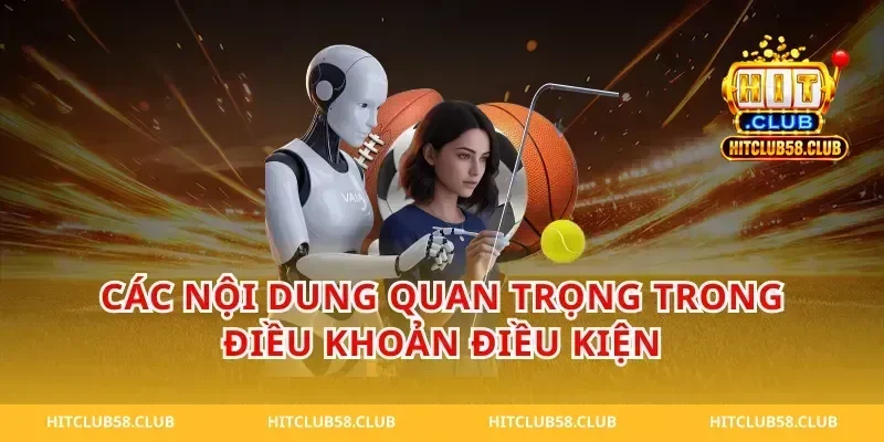 Các nội dung quan trọng trong điều khoản điều kiện