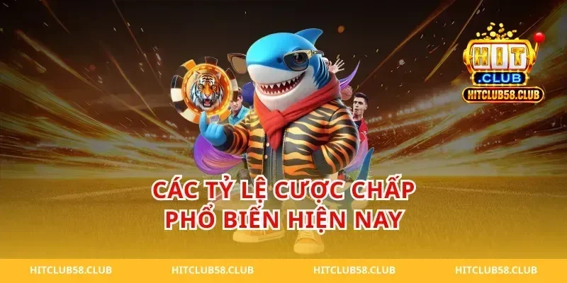 Các tỷ lệ cược chấp phổ biến hiện nay