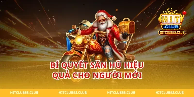 Bí Quyết Săn Hũ Hiệu Quả Cho Người Mới