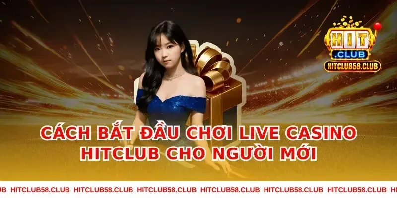 Cách bắt đầu chơi Live Casino Hitclub cho người mới