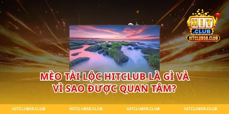 Mèo tài lộc hitclub là gì và vì sao được quan tâm?