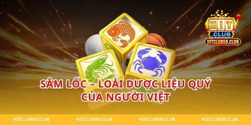 Sâm Lốc – Loài Dược Liệu Quý Của Người Việt