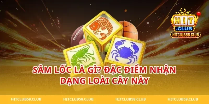 Sâm Lốc Là Gì? Đặc Điểm Nhận Dạng Loài Cây Này
