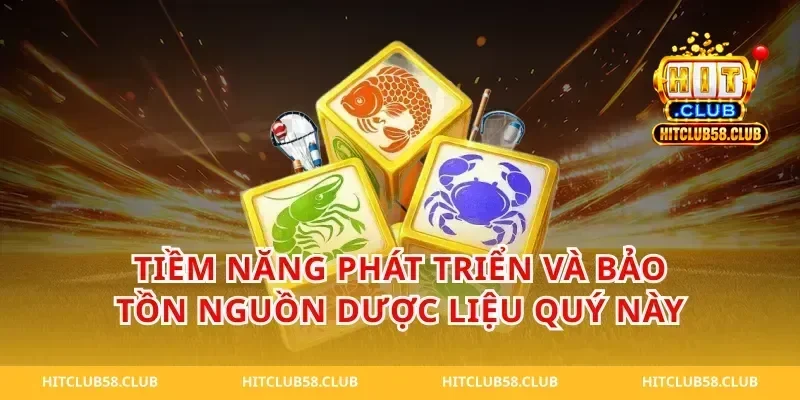 Tiềm Năng Phát Triển Và Bảo Tồn Nguồn Dược Liệu Quý Này